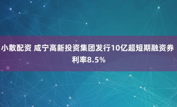 小散配资 咸宁高新投资集团发行10亿超短期融资券 利率8.5%
